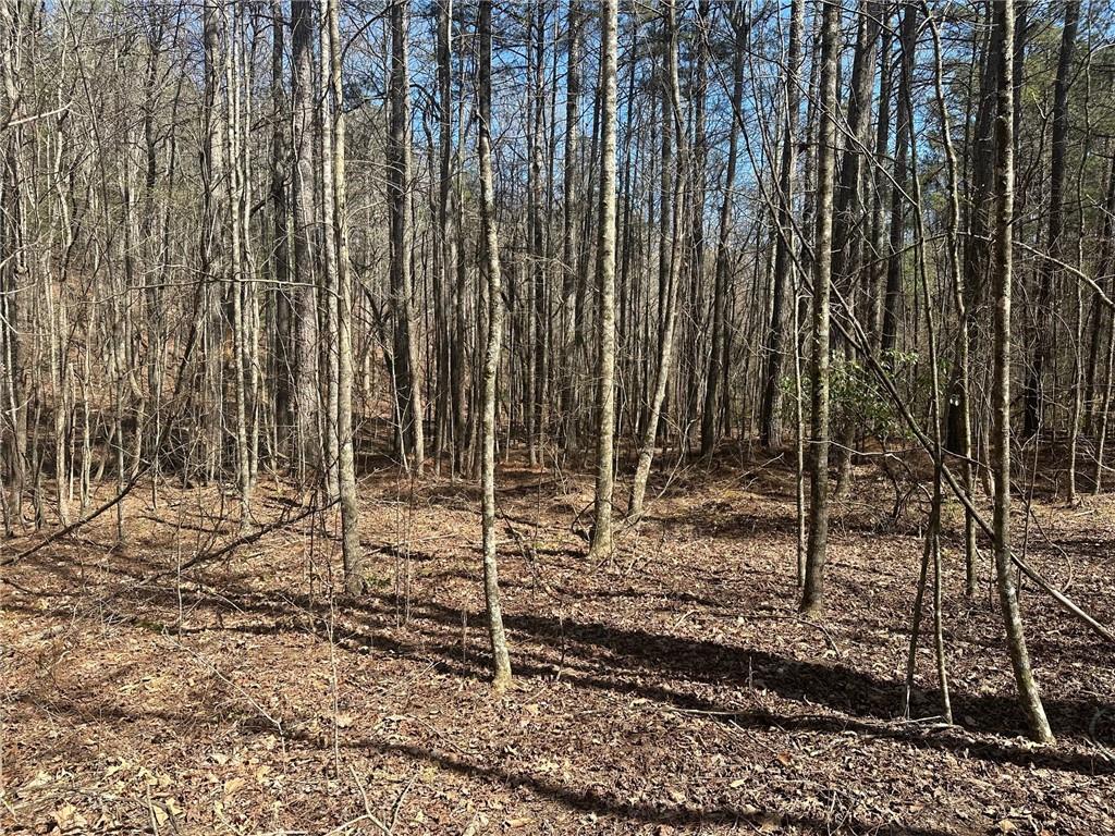 555 Larmon Forks Road Dahlonega, GA 30533 - Photo 6 of 10 a view of a backyard