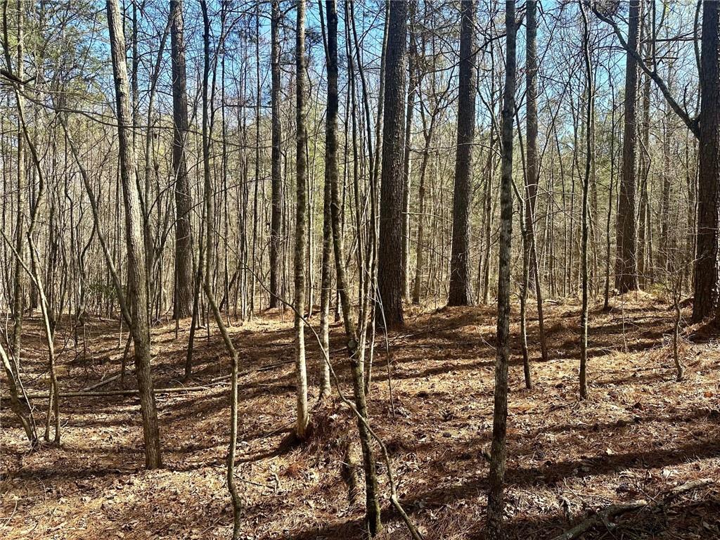 555 Larmon Forks Road Dahlonega, GA 30533 - Photo 8 of 10 a view of outdoor space with garden