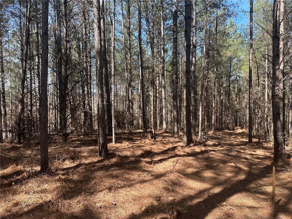 555 Larmon Forks Road Dahlonega, GA 30533 - Photo 9 of 10 a view of outdoor space with trees