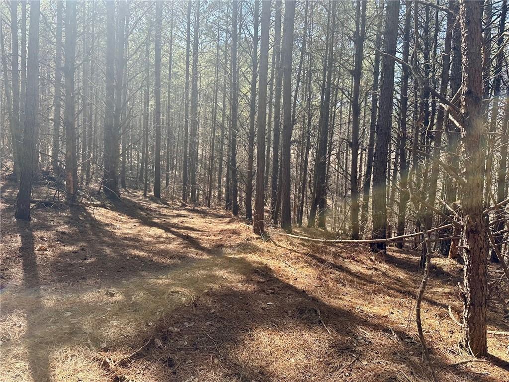 555 Larmon Forks Road Dahlonega, GA 30533 - Photo 10 of 10 a view of wooden fence