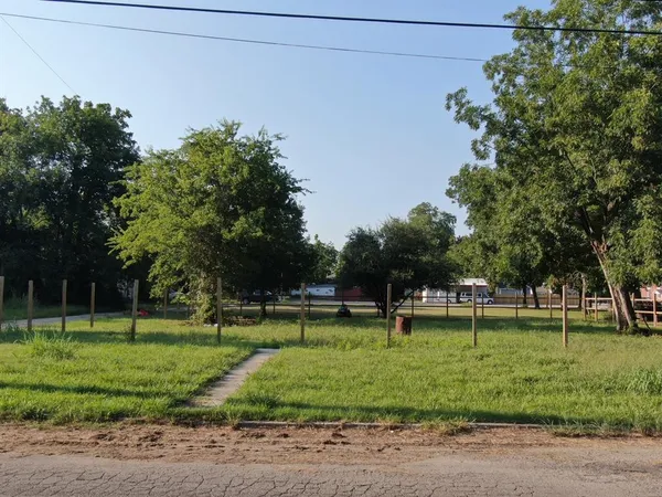 a view of a park with large trees