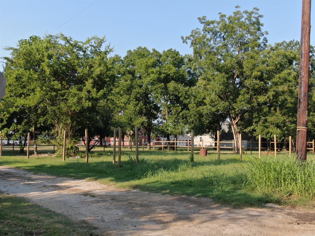 401 East Waco Avenue Cooper, TX 75432 - Photo 3 of 6 a garden view with a sitting space