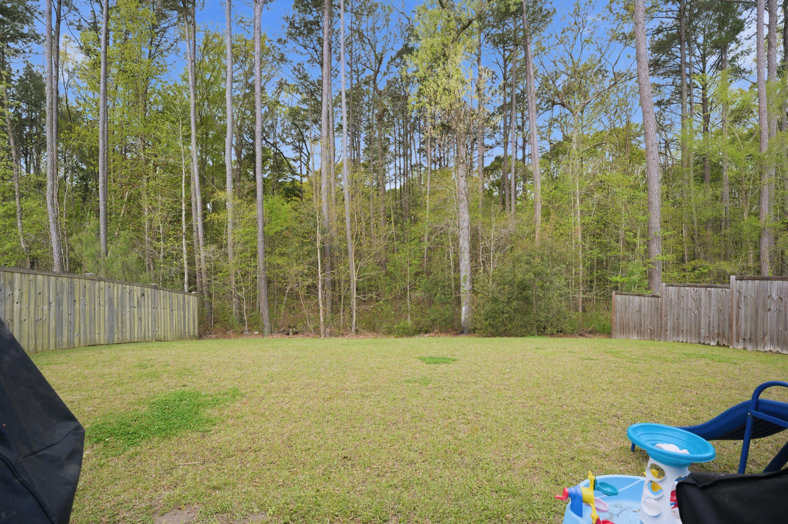 315 Mincy Street Moncks Corner, SC 29461 - Photo 24 of 24 P1082559