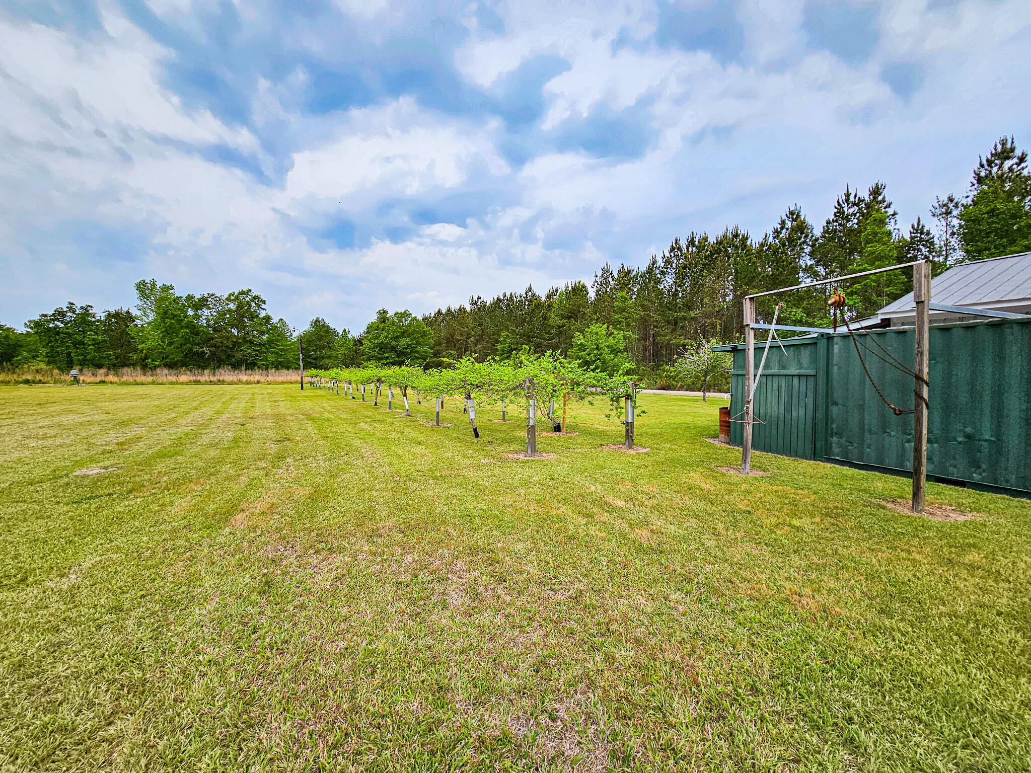 2986 Old Buckhead Road Branchville, SC 29432 - Photo 13 of 48 20250423_094339