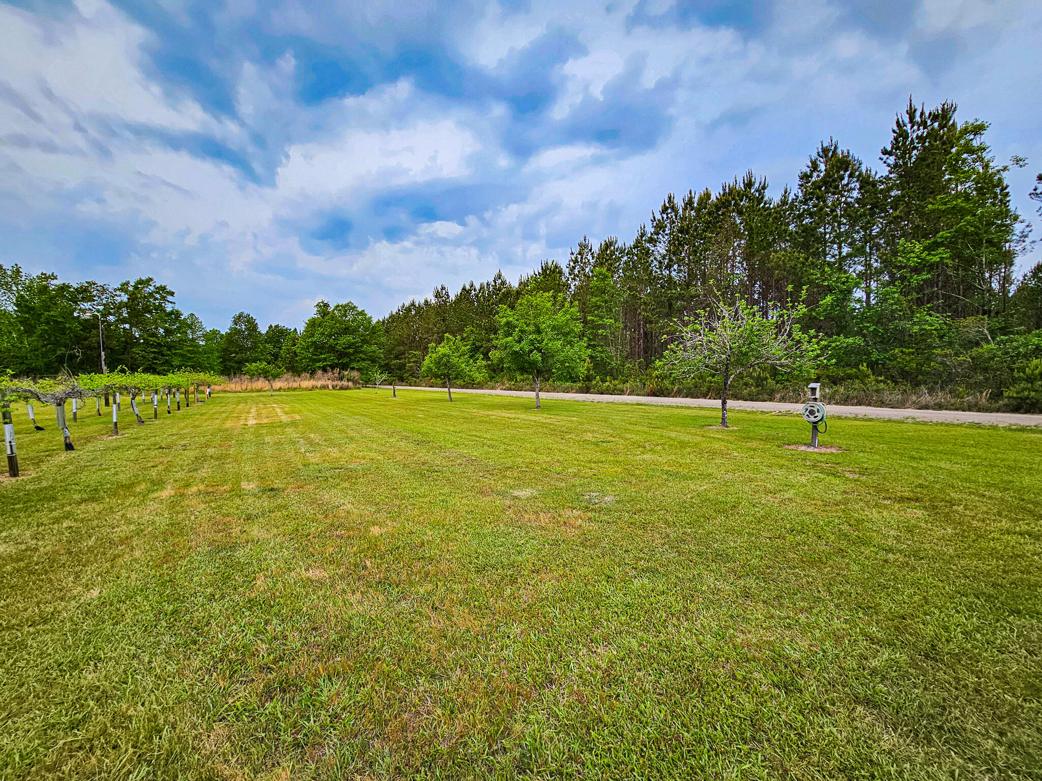 2986 Old Buckhead Road Branchville, SC 29432 - Photo 17 of 48 20250423_094431