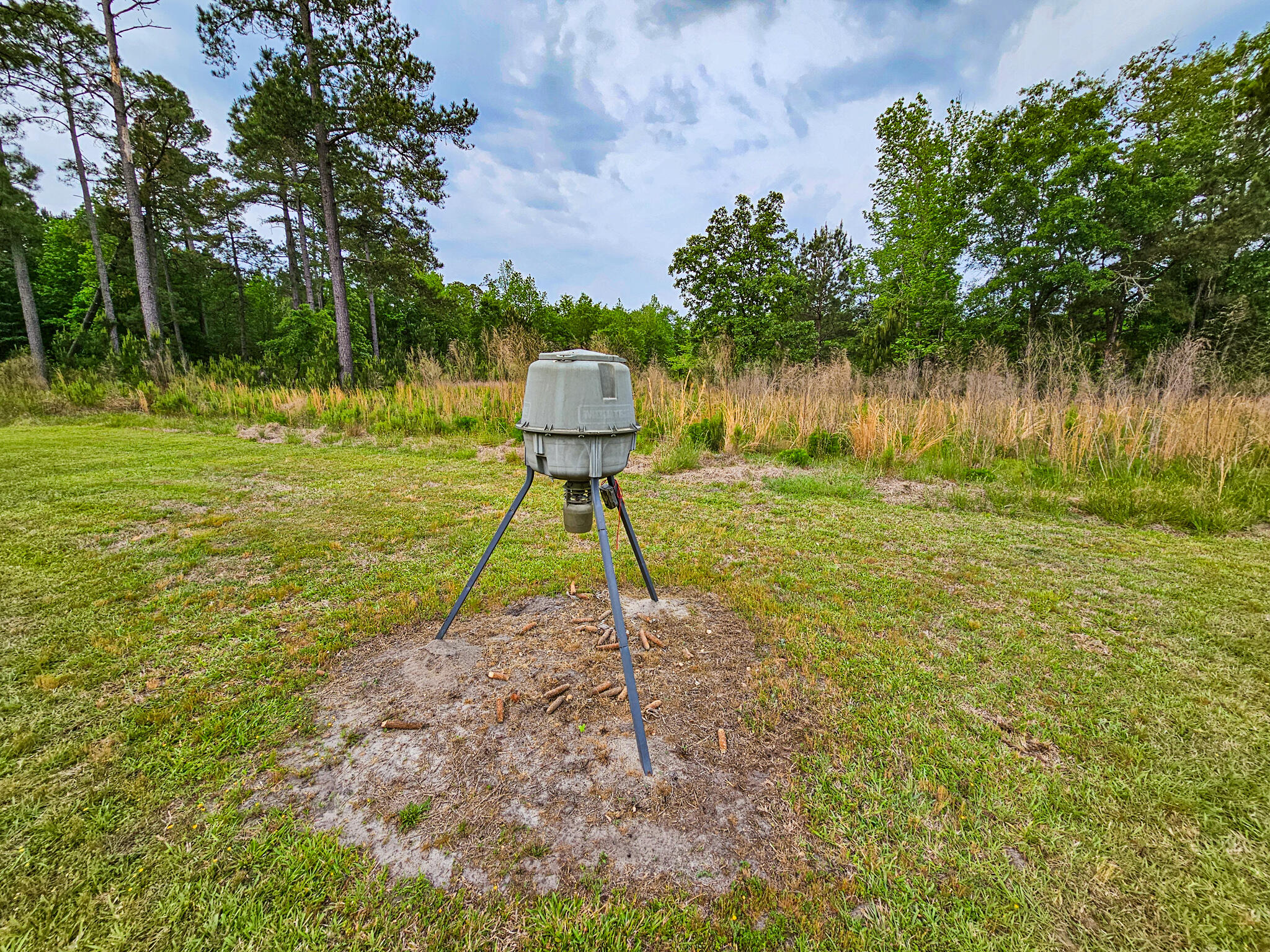 2986 Old Buckhead Road Branchville, SC 29432 - Photo 20 of 48 20250423_094554