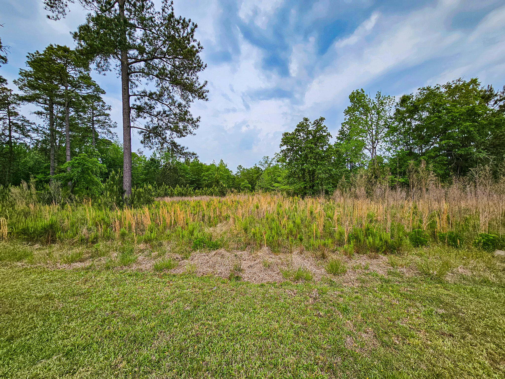 2986 Old Buckhead Road Branchville, SC 29432 - Photo 21 of 48 20250423_094610