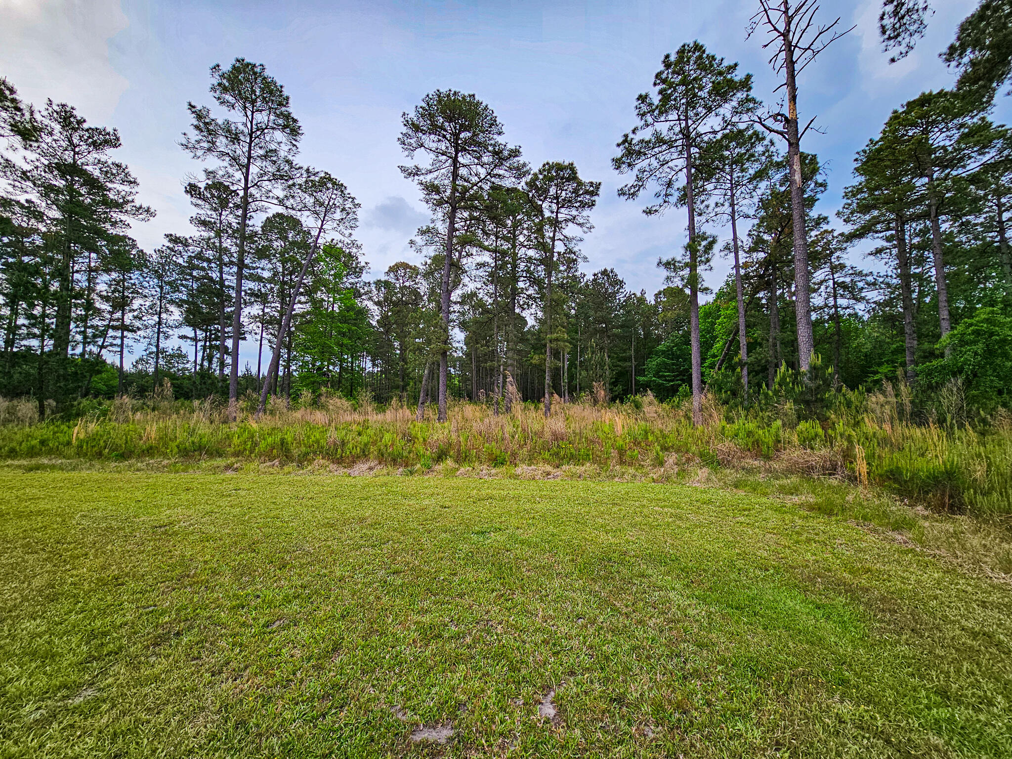 2986 Old Buckhead Road Branchville, SC 29432 - Photo 23 of 48 20250423_094614