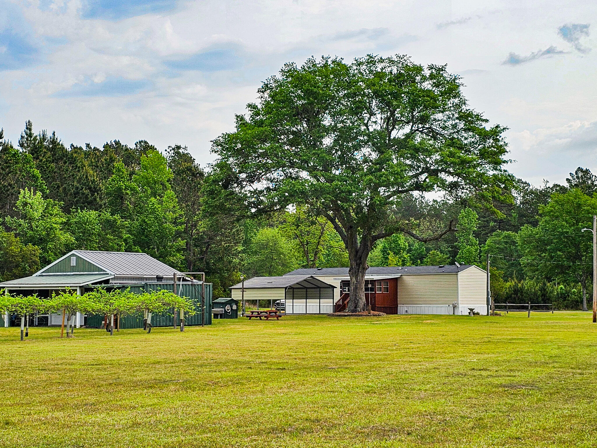 2986 Old Buckhead Road Branchville, SC 29432 - Photo 9 of 48 20250423_094635