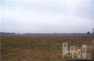 458 Rones Chapel Road Mount Olive, NC 28365 - Photo 3 of 4 Additional Photo