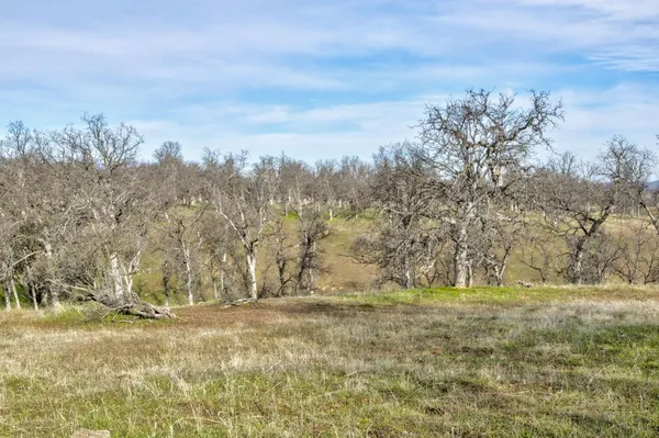 $537,000 | 3376 Co Road 308, Elk Creek, CA 95939