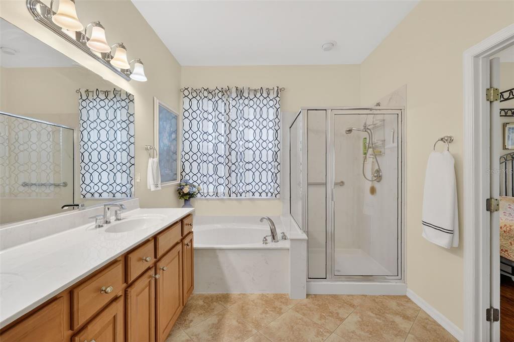 9243 Southeast 120th Loop Summerfield, FL 34491 - Photo 18 of 29