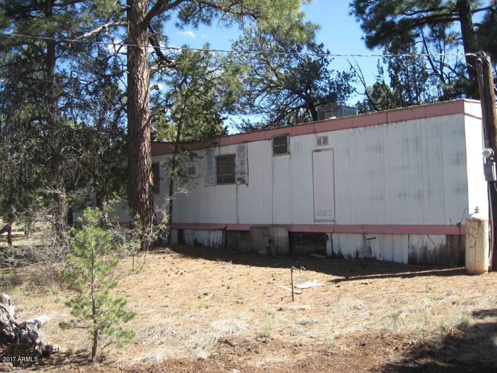 2122 Fishermans Road Overgaard, AZ 85933 - Photo 8 of 11 Home-Back