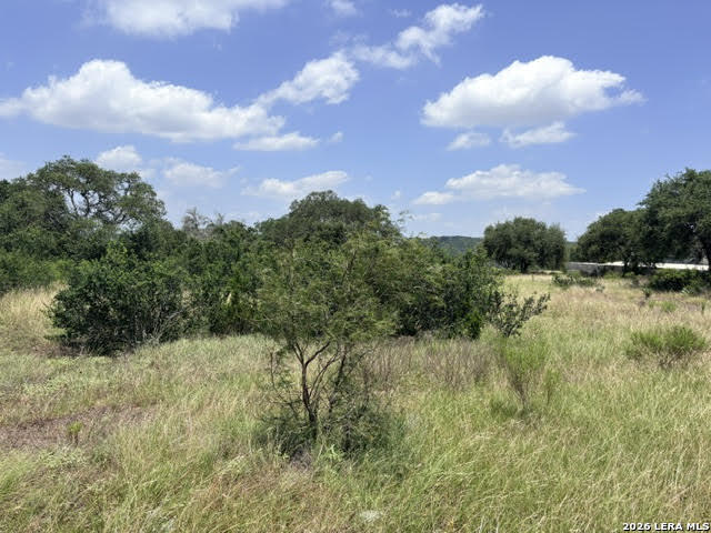 359 River Cliff Place Spring Branch, TX 78070 - Photo 8 of 14