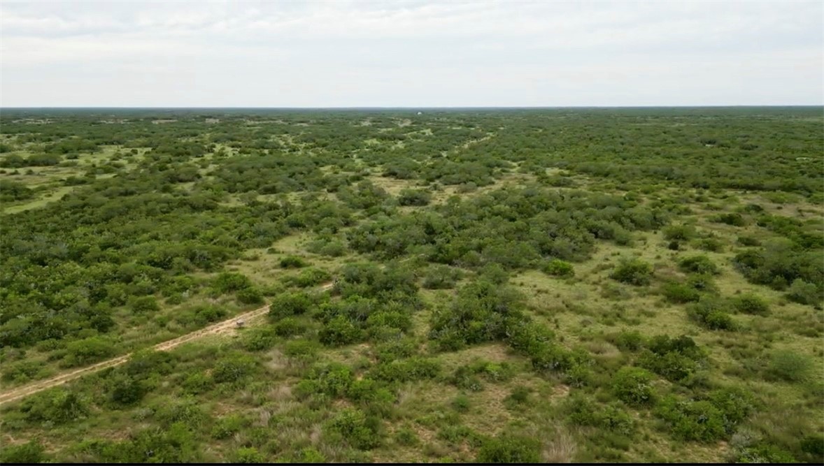 0 Co Road Falfurrias, TX 78355 - Photo 1 of 1