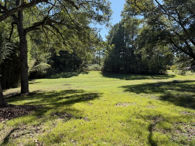 1508 Springs Road Dalton, GA 30721 - Photo 14 of 14 Gallery Image 14