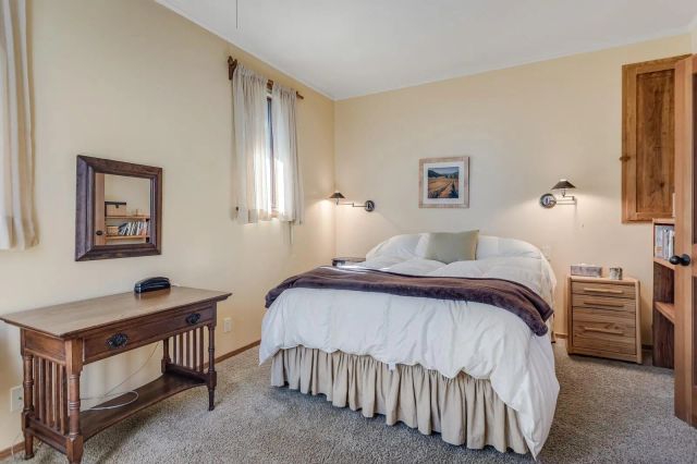 a view of a city with lush green forest