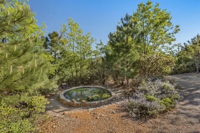 a view of a yard with large trees