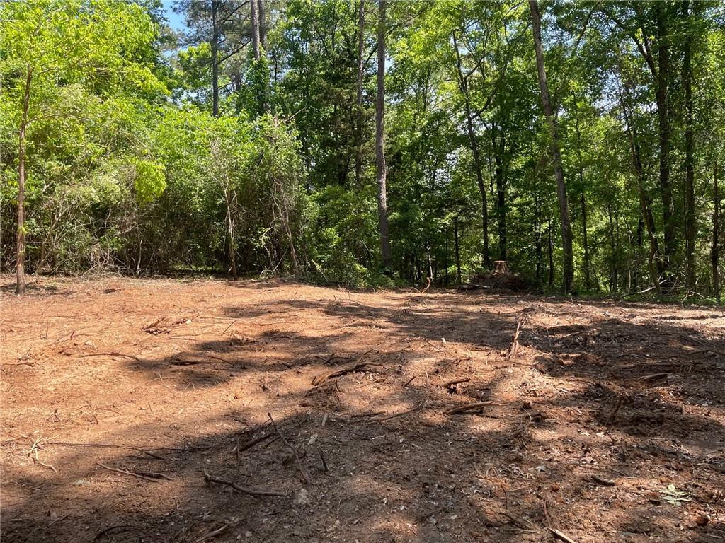 1 B Chalcrest Way Cave Spring, GA 30124 - Photo 7 of 52