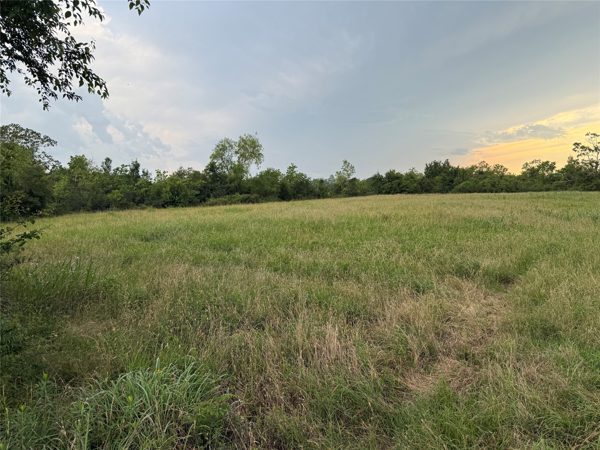 1240 Crooked Road Cat Spring, TX 78933 - Photo 16 of 20 a view of field with tall trees