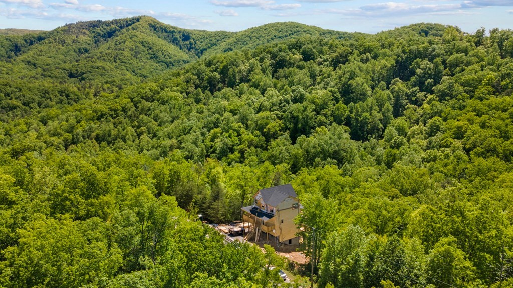 1633 Pinestand Rdg Way Sevierville, TN 37862 - Photo 27 of 33 Gallery Image 27