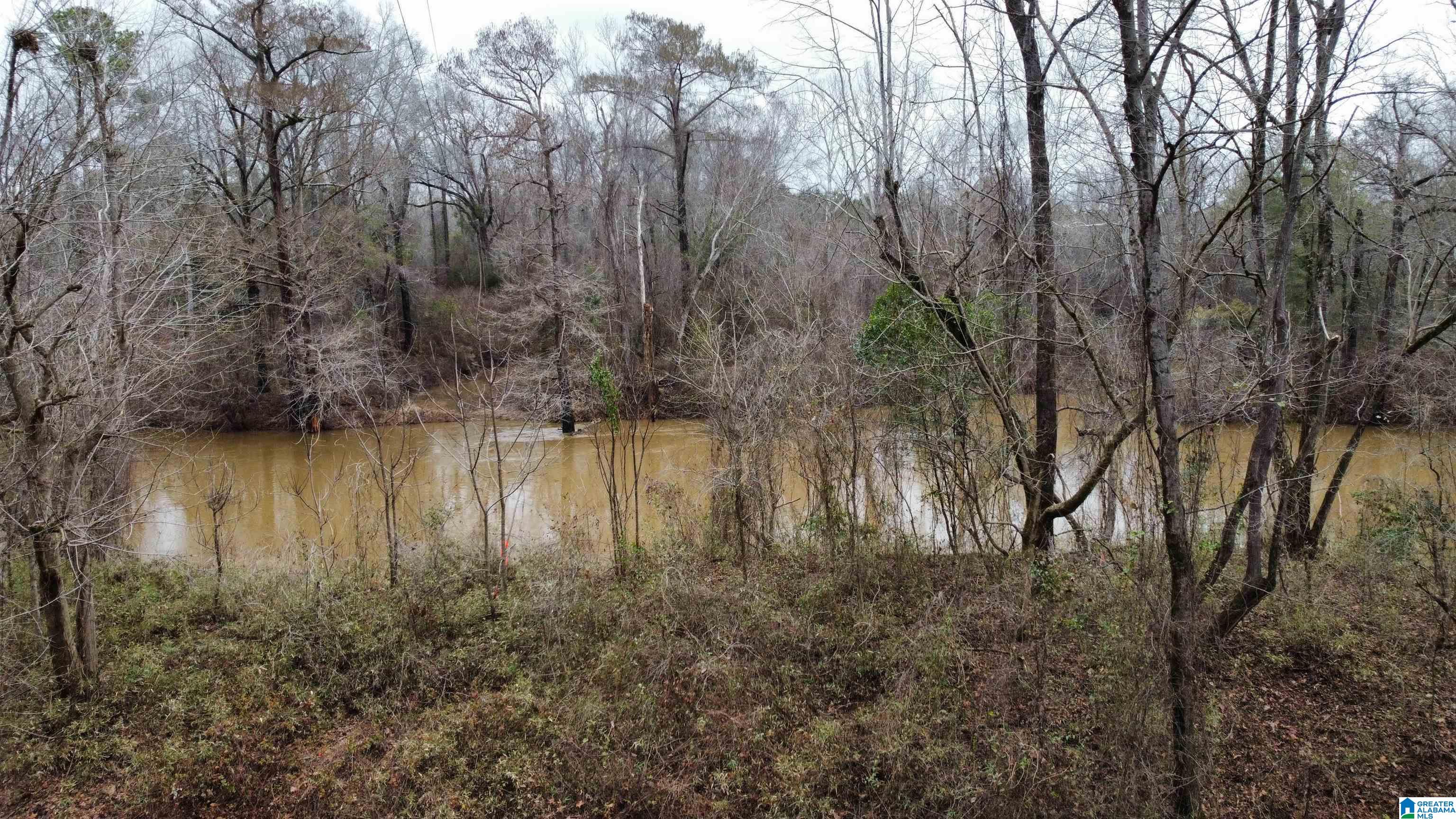 0 Cardinal Lane Eutaw, AL 35462 - Photo 9 of 16