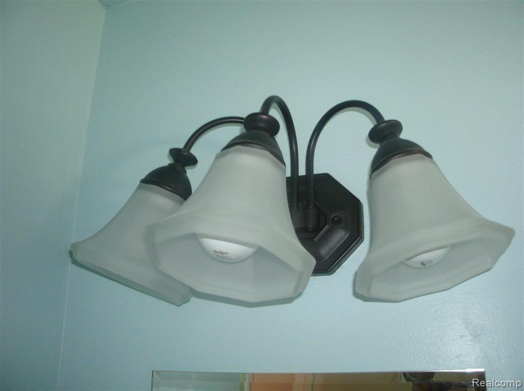 19909 Rensellor Street Livonia, MI 48152 - Photo 13 of 14 Designer Lights
