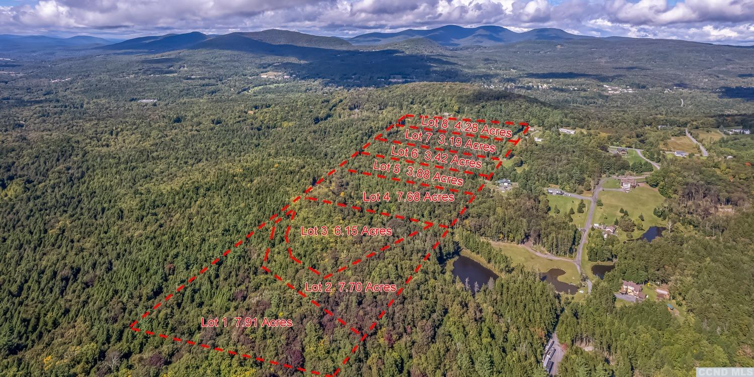 132 Repucci Frst Road Elka Park, NY 12427 - Photo 3 of 9 a view of outside area