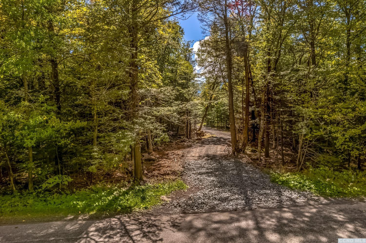132 Repucci Frst Road Elka Park, NY 12427 - Photo 4 of 9 a view of a forest with trees