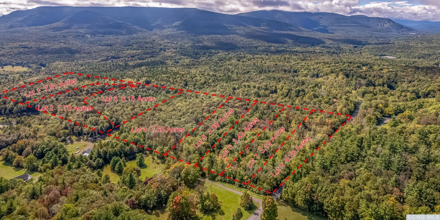 132 Repucci Frst Road Elka Park, NY 12427 - Photo 9 of 9 a view of an outdoor space and mountain view