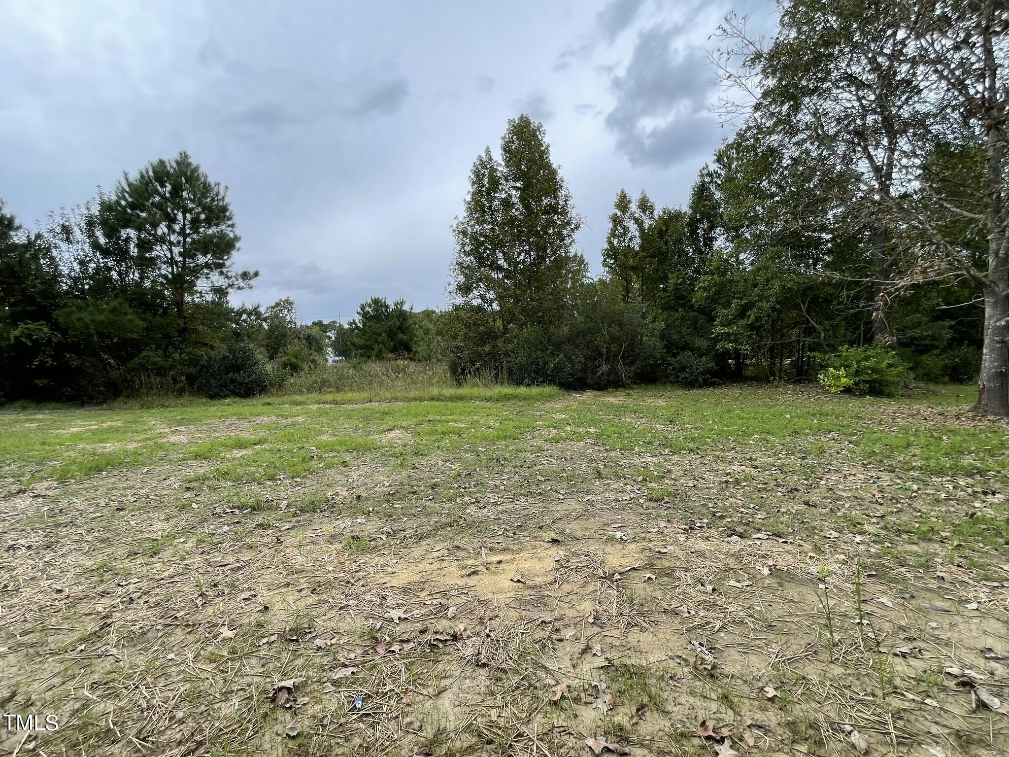 329 Ewing Drive Selma, NC 27576 - Photo 17 of 17 a view of a field with trees in the background