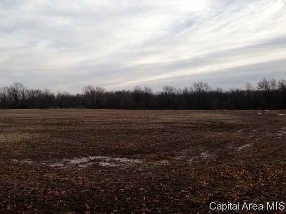 Dixon Road Auburn, IL 62615 - Photo 1 of 1