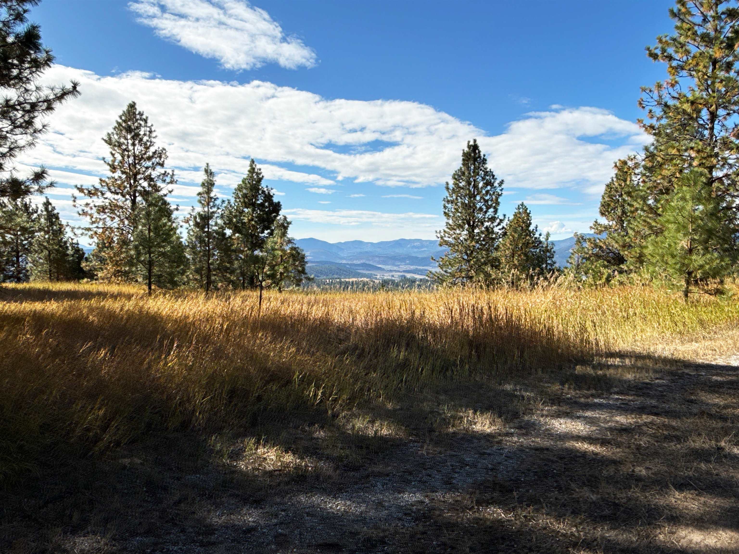 755 Conrad Hill Way Colville, WA 99114 - Photo 1 of 27