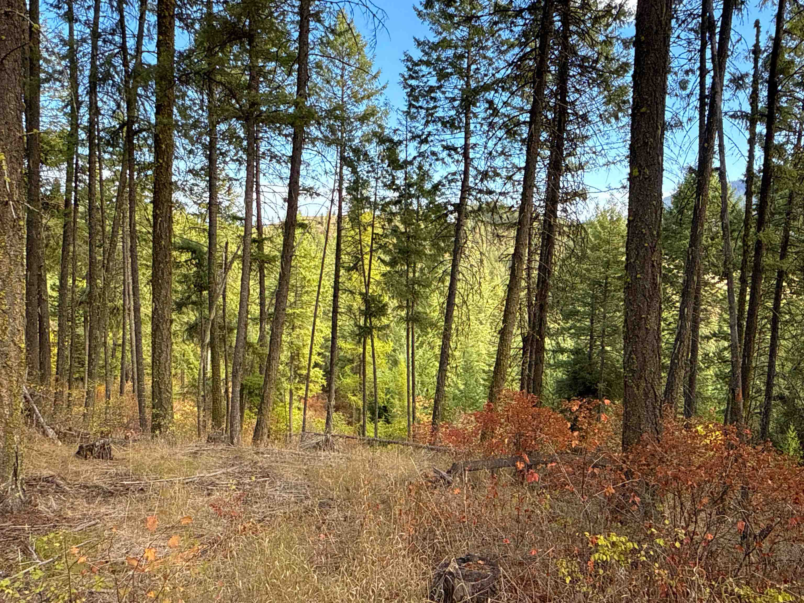 755 Conrad Hill Way Colville, WA 99114 - Photo 12 of 27