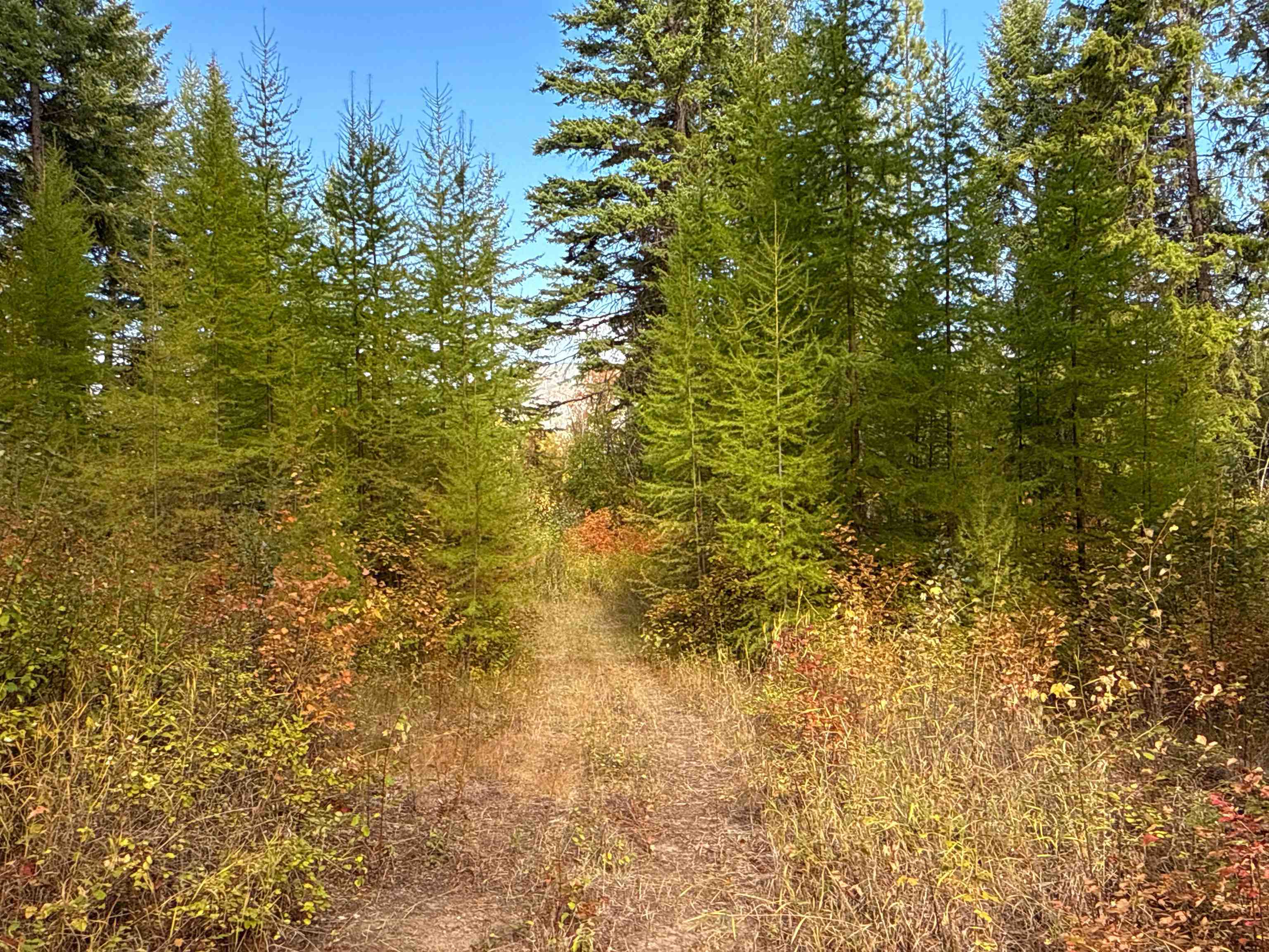 755 Conrad Hill Way Colville, WA 99114 - Photo 14 of 27