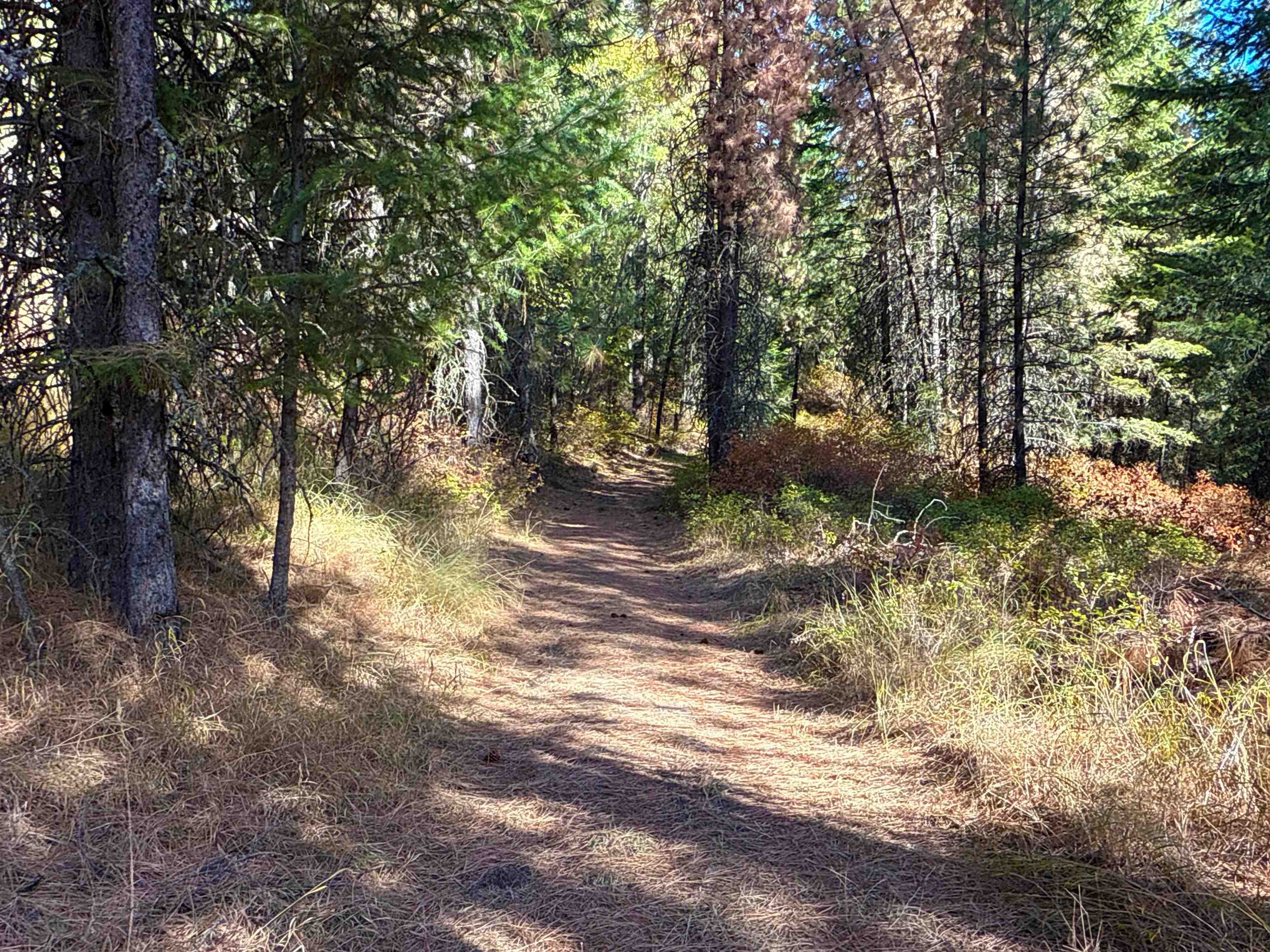 755 Conrad Hill Way Colville, WA 99114 - Photo 15 of 27