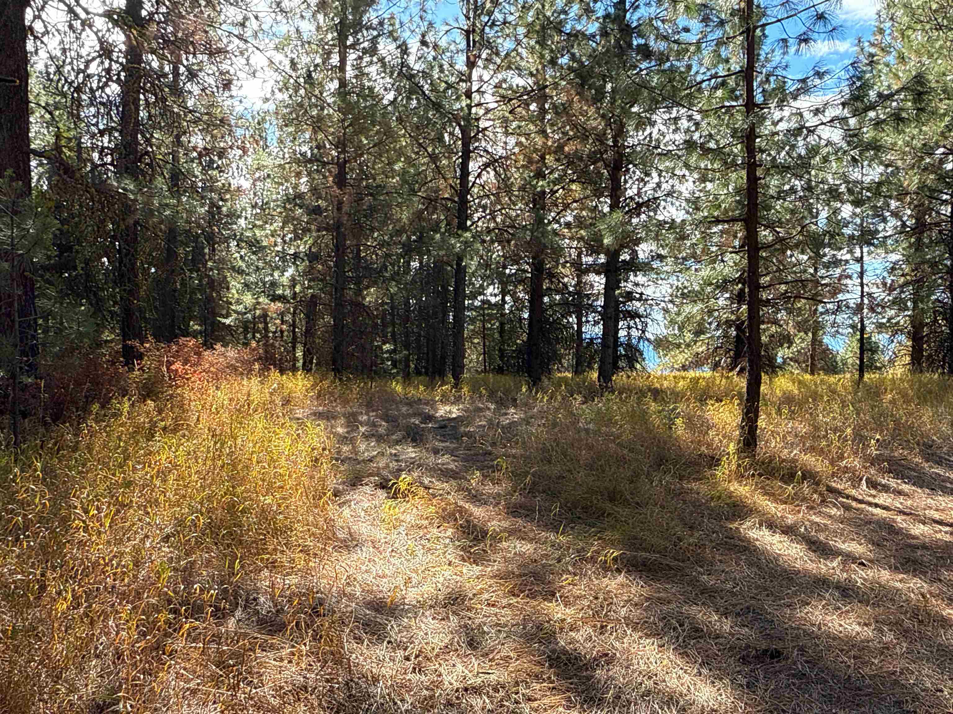 755 Conrad Hill Way Colville, WA 99114 - Photo 16 of 27