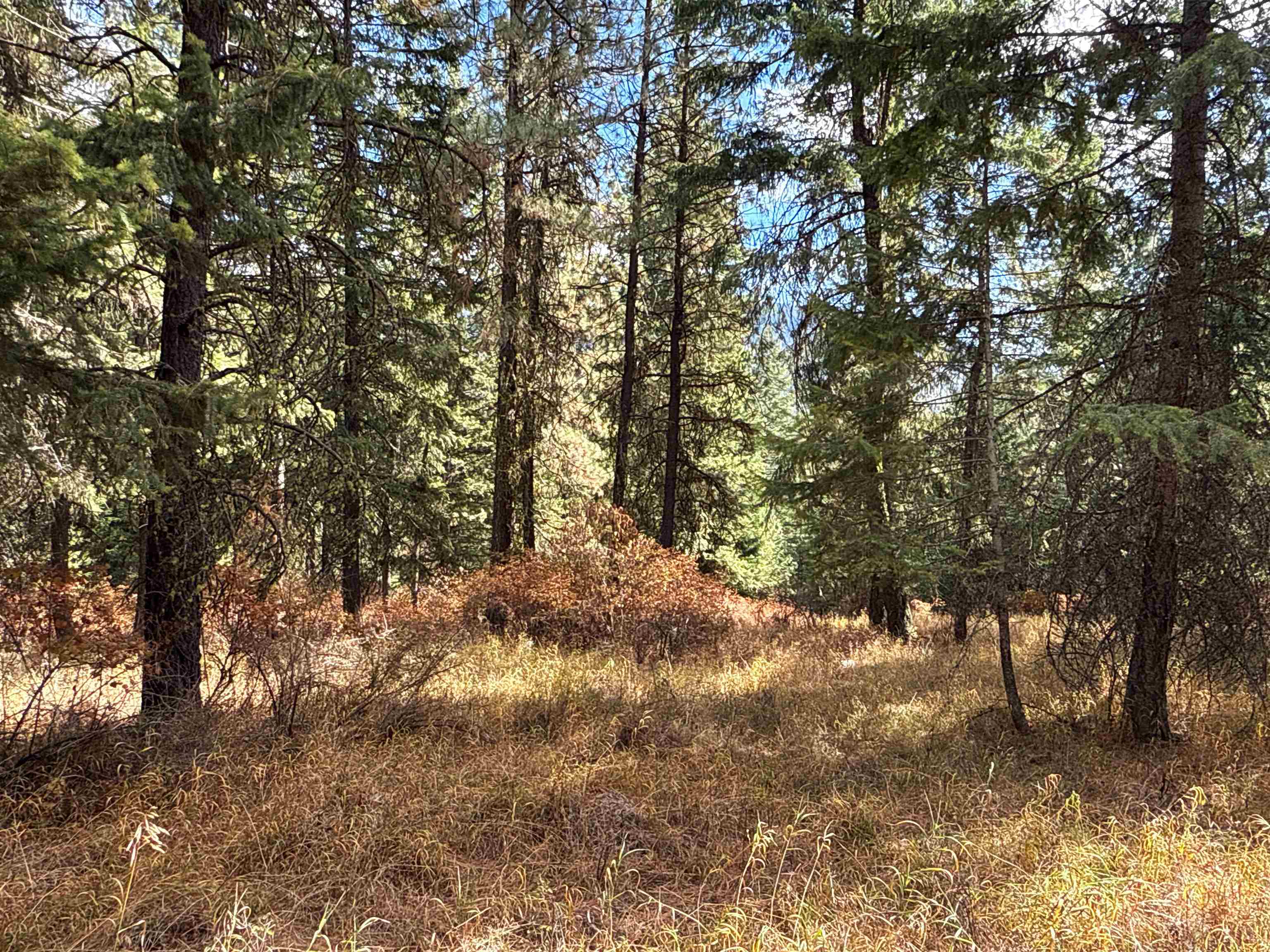 755 Conrad Hill Way Colville, WA 99114 - Photo 17 of 27