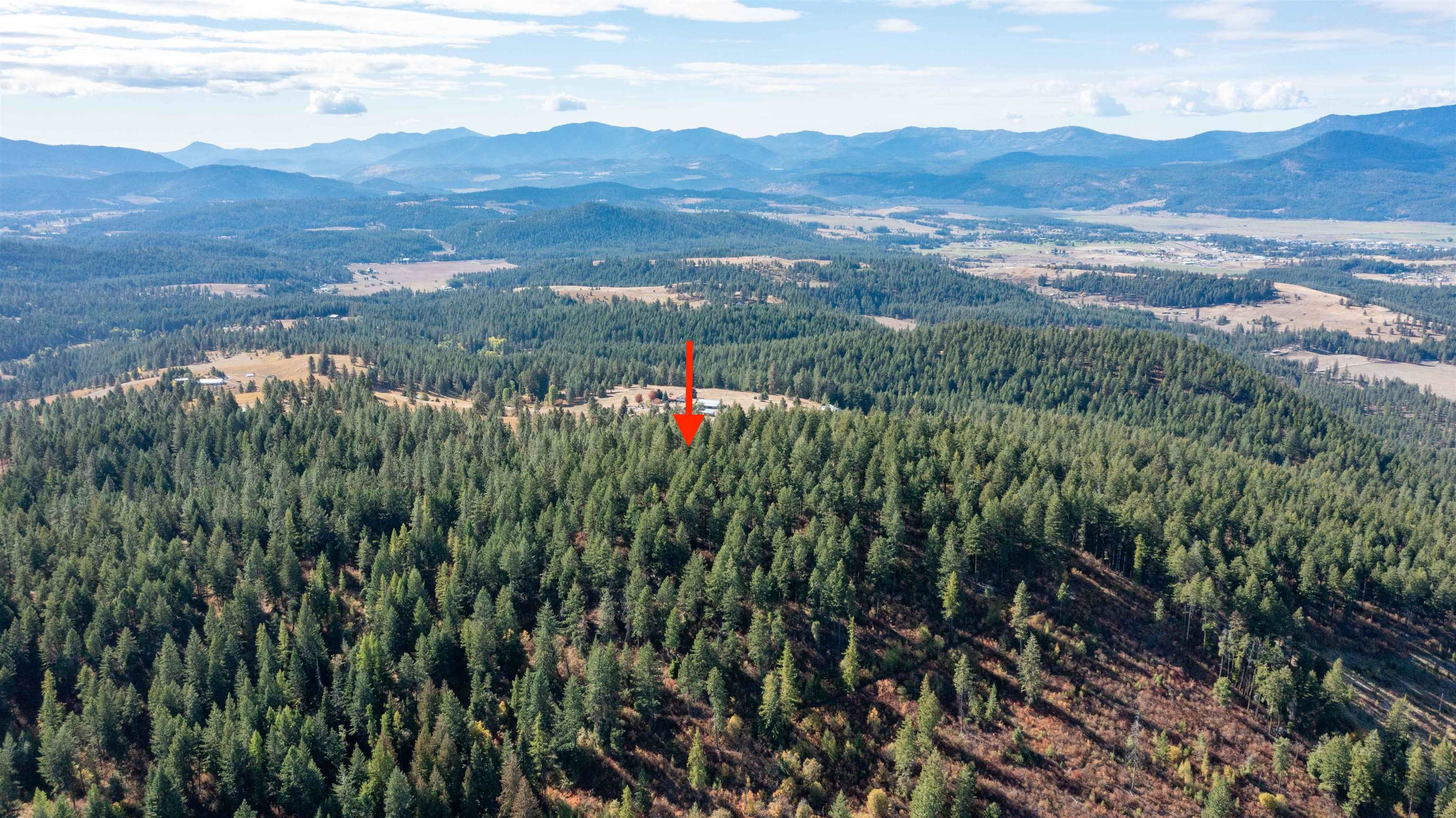 755 Conrad Hill Way Colville, WA 99114 - Photo 19 of 27