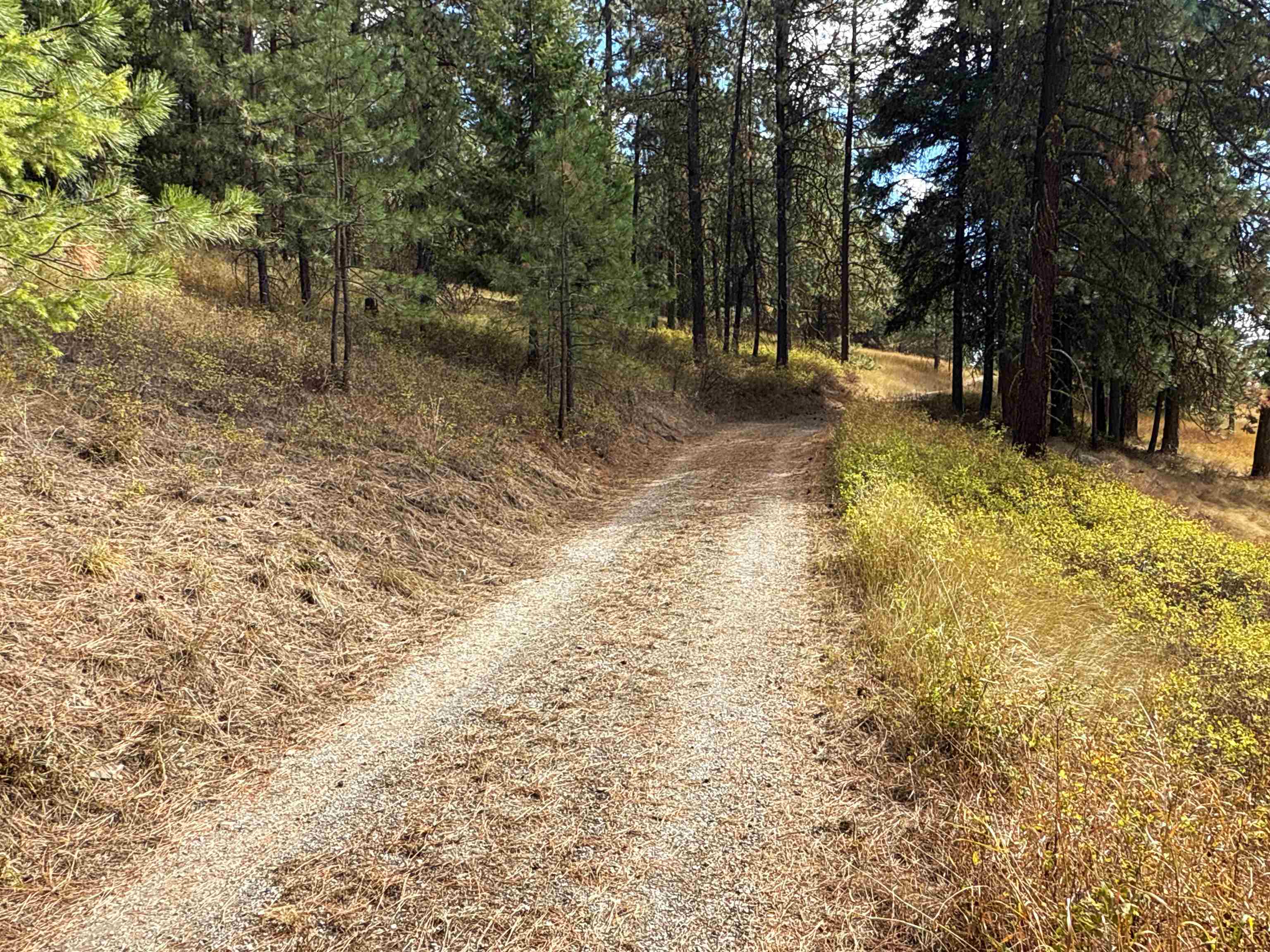 755 Conrad Hill Way Colville, WA 99114 - Photo 2 of 27