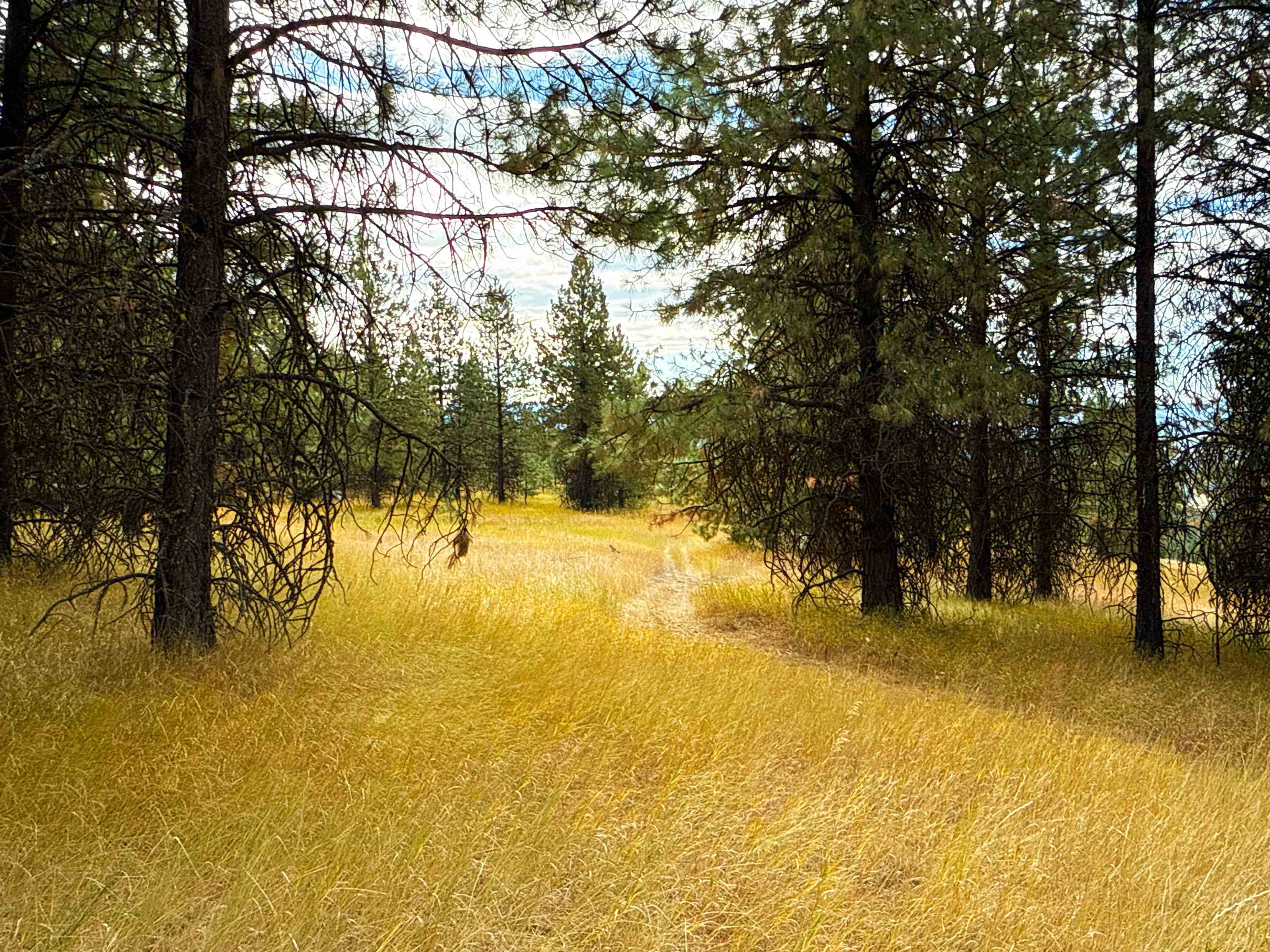 755 Conrad Hill Way Colville, WA 99114 - Photo 3 of 27