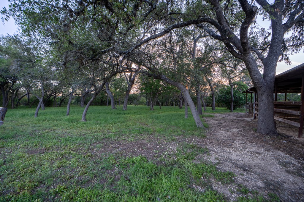 3273 Privilege Creek Road Pipe Creek, TX 78063 - Photo 53 of 58