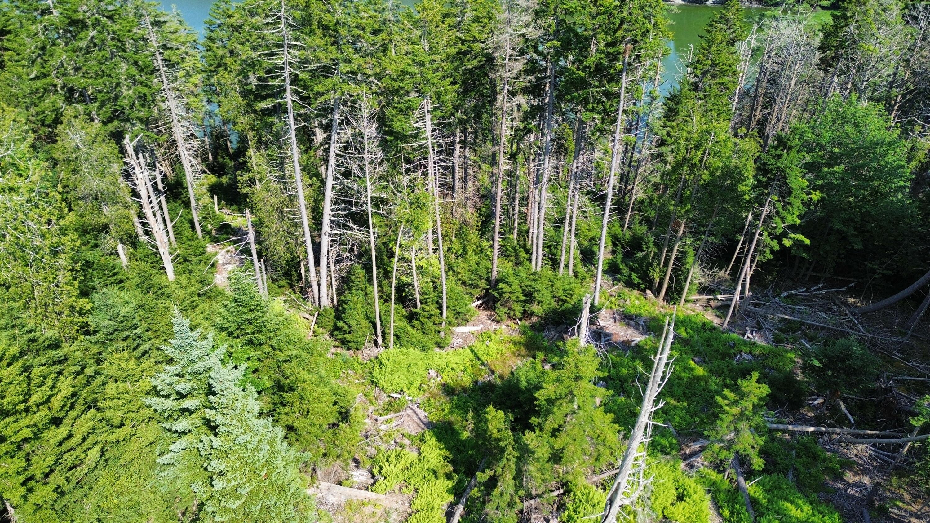 Lot #1 Bayview Road Orrs Island, ME 04066 - Photo 33 of 46 dji_fly_20240713_154756_914_172091591218