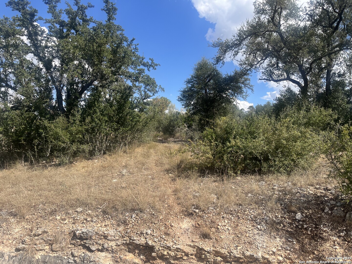 7627 Ramble Ridge San Antonio, TX 78266 - Photo 7 of 8