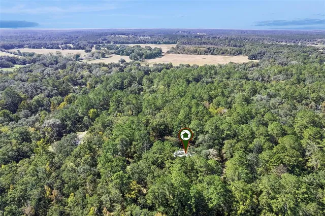 a map view of a house with a tree