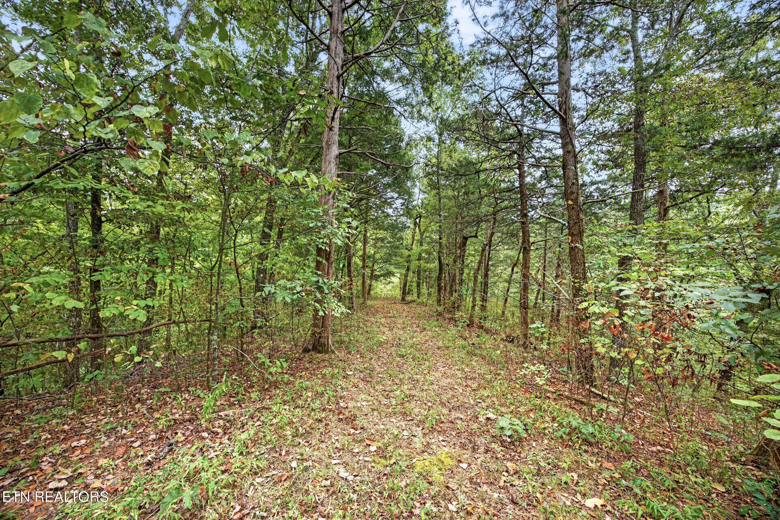 Lot 27 Timber Ridge Lane Celina, TN 38551 - Photo 6 of 21 5-8N5A6877