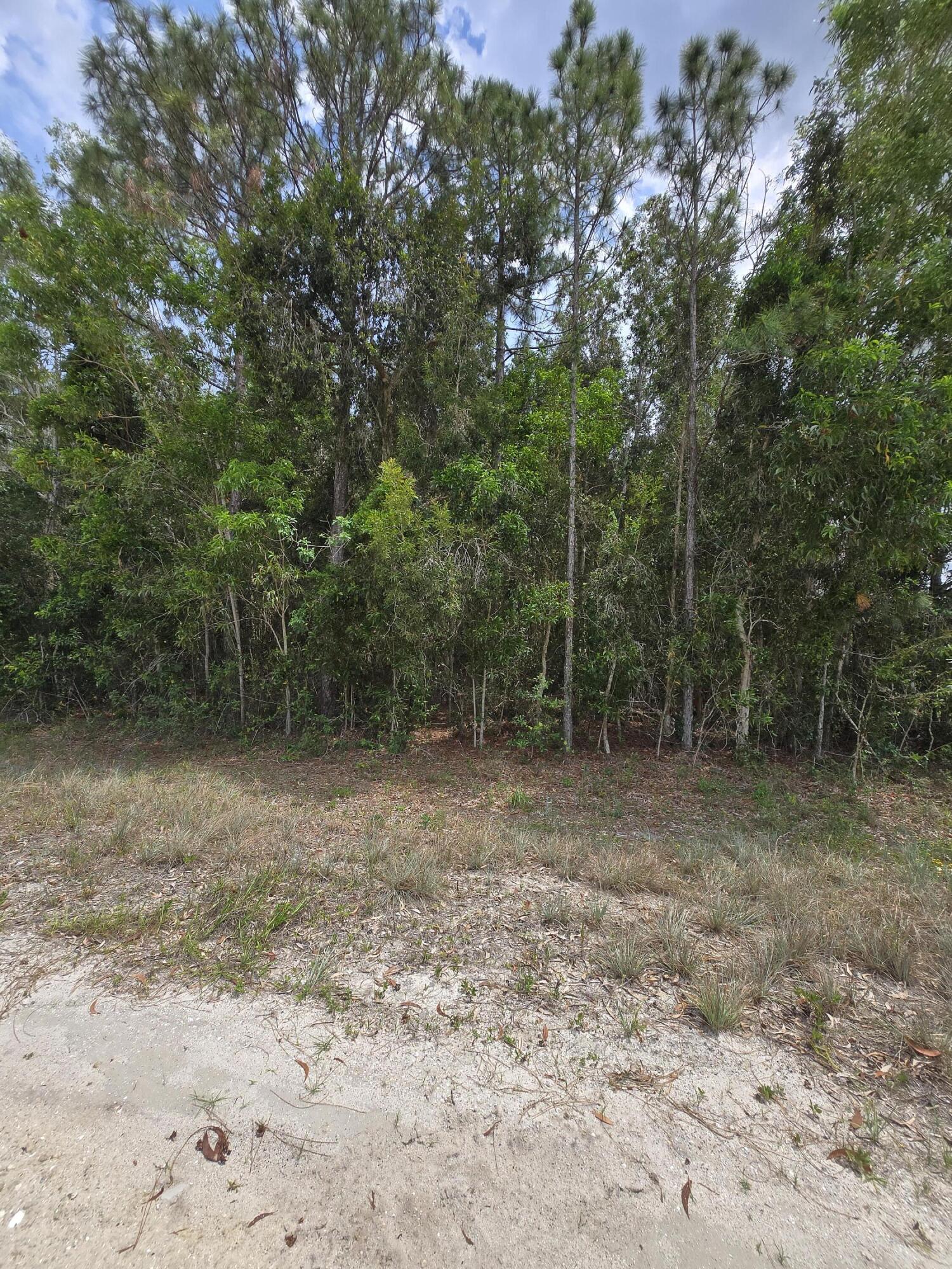 42 42nd Road North Loxahatchee, FL 33470 - Photo 3 of 11 20260511_144746