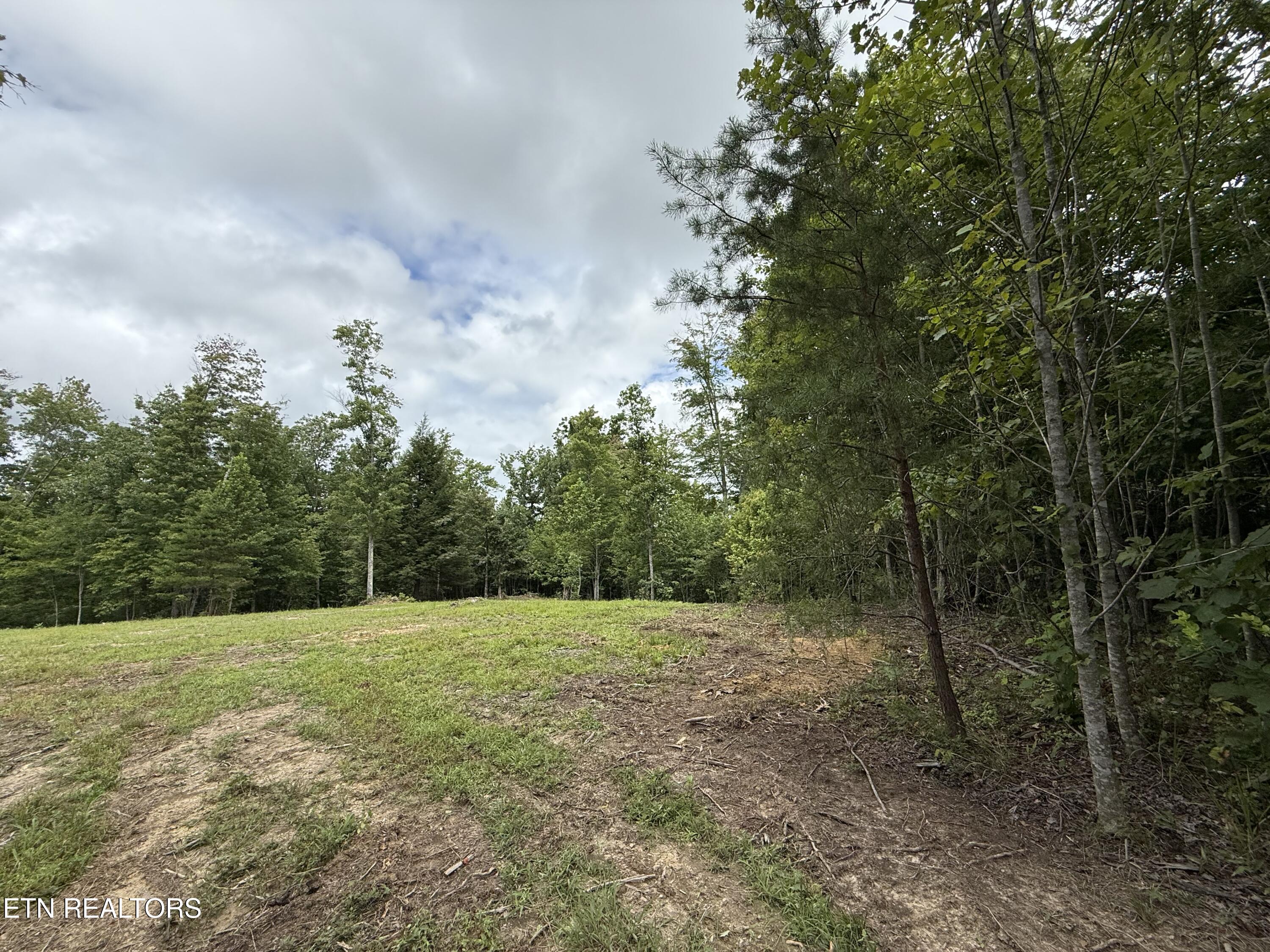 Clifty Creek Road Winfield, TN 37892 - Photo 3 of 11 IMG_6788