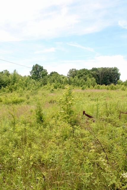 482 Friendship Lane Delano, TN 37325 - Photo 2 of 8