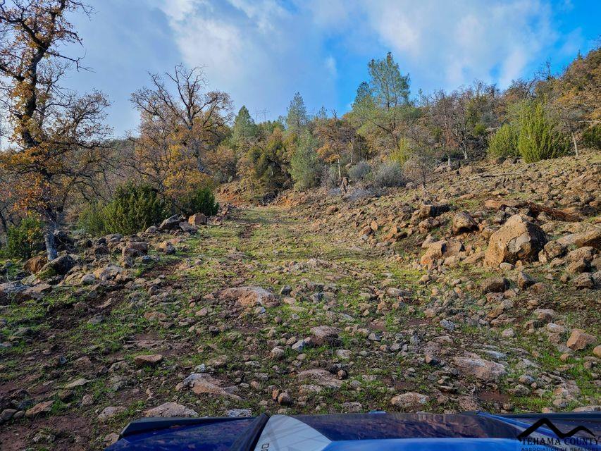 Battle Creek Bottom Road Manton, CA 96059 - Photo 21 of 27 Gallery Image 21